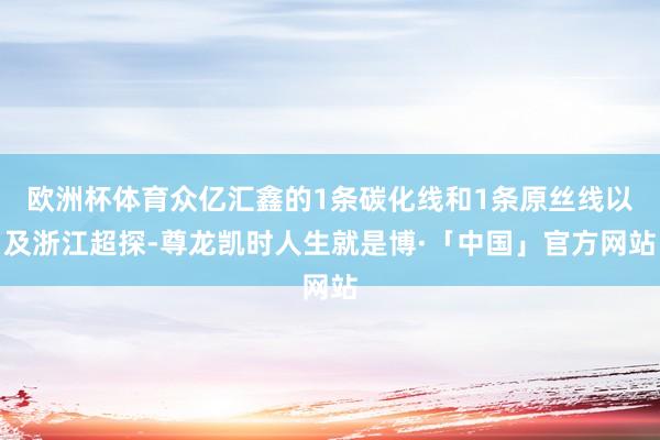 欧洲杯体育众亿汇鑫的1条碳化线和1条原丝线以及浙江超探-尊龙凯时人生就是博·「中国」官方网站