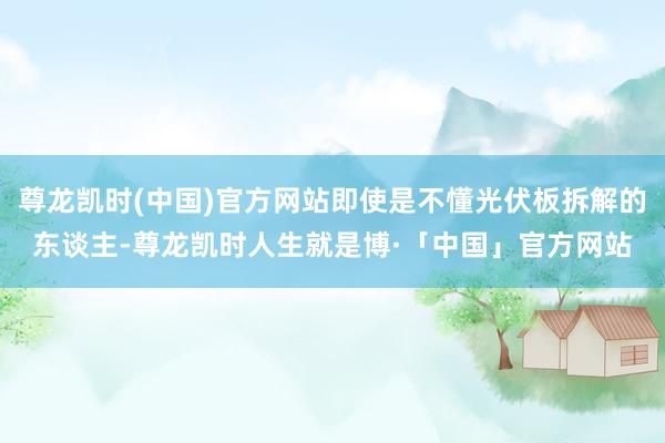 尊龙凯时(中国)官方网站即使是不懂光伏板拆解的东谈主-尊龙凯时人生就是博·「中国」官方网站