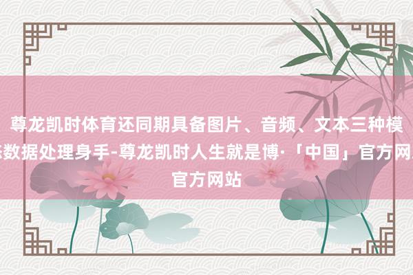 尊龙凯时体育还同期具备图片、音频、文本三种模态数据处理身手-尊龙凯时人生就是博·「中国」官方网站