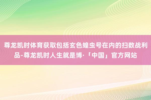 尊龙凯时体育获取包括玄色蝗虫号在内的扫数战利品-尊龙凯时人生就是博·「中国」官方网站