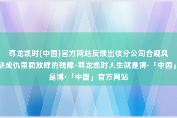 尊龙凯时(中国)官方网站反馈出该分公司合规风险处置的缺成仇里面放肆的残障-尊龙凯时人生就是博·「中国」官方网站