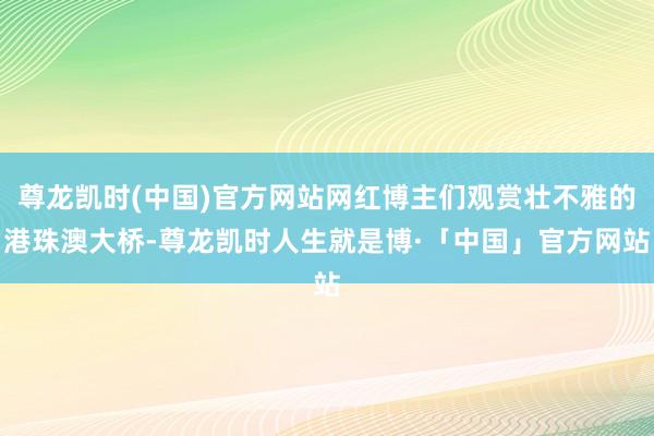 尊龙凯时(中国)官方网站网红博主们观赏壮不雅的港珠澳大桥-尊龙凯时人生就是博·「中国」官方网站
