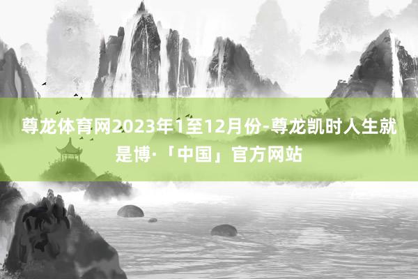 尊龙体育网　　2023年1至12月份-尊龙凯时人生就是博·「中国」官方网站