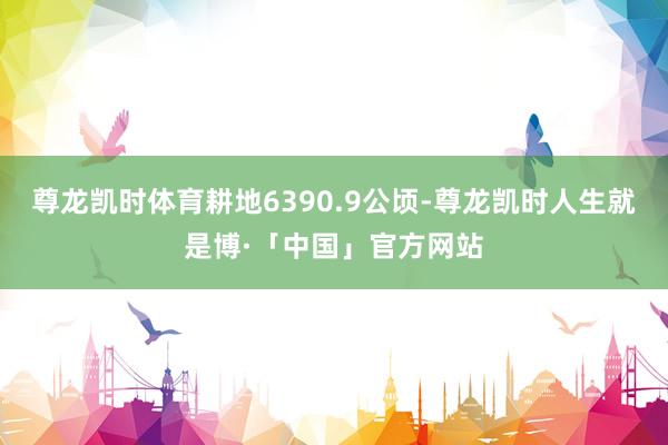 尊龙凯时体育耕地6390.9公顷-尊龙凯时人生就是博·「中国」官方网站