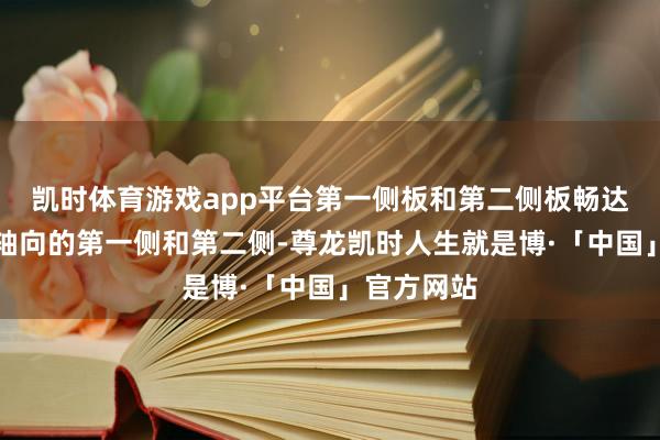 凯时体育游戏app平台第一侧板和第二侧板畅达于绕线柱轴向的第一侧和第二侧-尊龙凯时人生就是博·「中国」官方网站