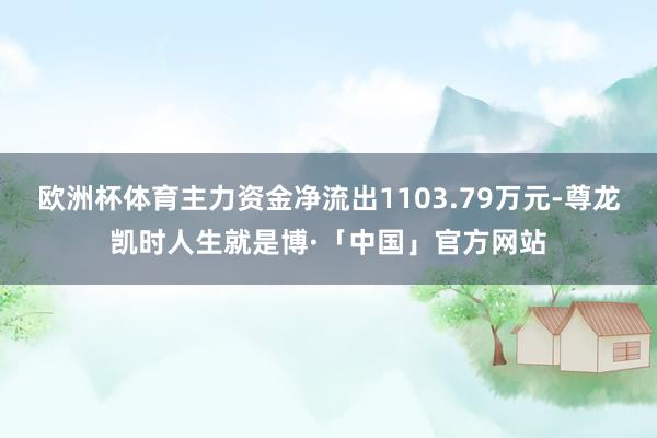 欧洲杯体育主力资金净流出1103.79万元-尊龙凯时人生就是博·「中国」官方网站