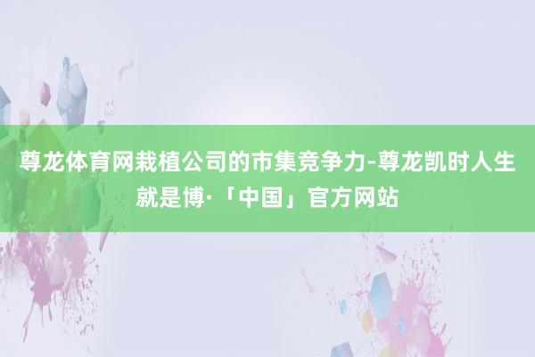 尊龙体育网栽植公司的市集竞争力-尊龙凯时人生就是博·「中国」官方网站