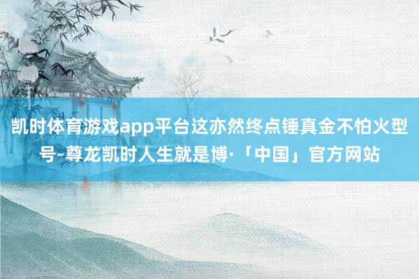 凯时体育游戏app平台这亦然终点锤真金不怕火型号-尊龙凯时人生就是博·「中国」官方网站