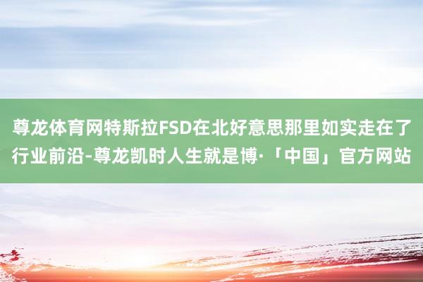 尊龙体育网特斯拉FSD在北好意思那里如实走在了行业前沿-尊龙凯时人生就是博·「中国」官方网站
