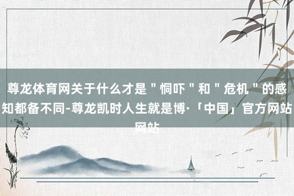 尊龙体育网关于什么才是＂恫吓＂和＂危机＂的感知都备不同-尊龙凯时人生就是博·「中国」官方网站