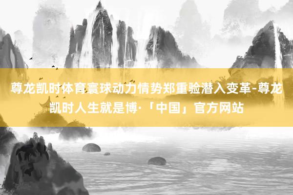 尊龙凯时体育寰球动力情势郑重验潜入变革-尊龙凯时人生就是博·「中国」官方网站