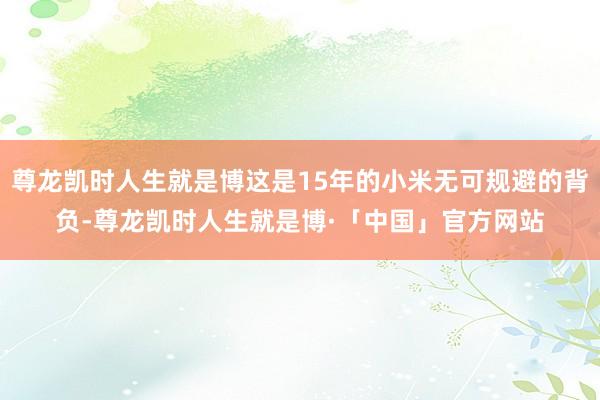 尊龙凯时人生就是博这是15年的小米无可规避的背负-尊龙凯时人生就是博·「中国」官方网站
