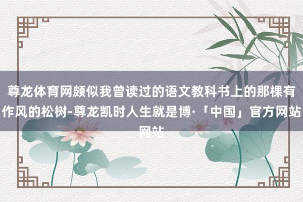 尊龙体育网颇似我曾读过的语文教科书上的那棵有作风的松树-尊龙凯时人生就是博·「中国」官方网站