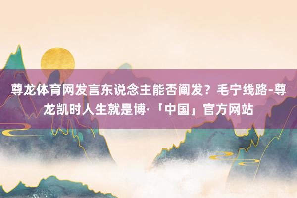 尊龙体育网发言东说念主能否阐发？毛宁线路-尊龙凯时人生就是博·「中国」官方网站