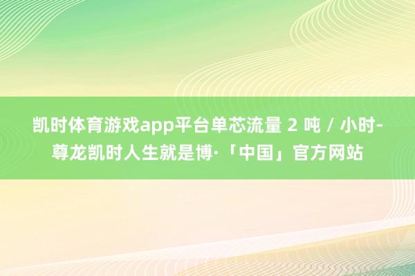 凯时体育游戏app平台单芯流量 2 吨 / 小时-尊龙凯时人生就是博·「中国」官方网站