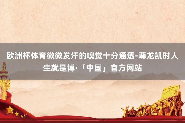 欧洲杯体育微微发汗的嗅觉十分通透-尊龙凯时人生就是博·「中国」官方网站