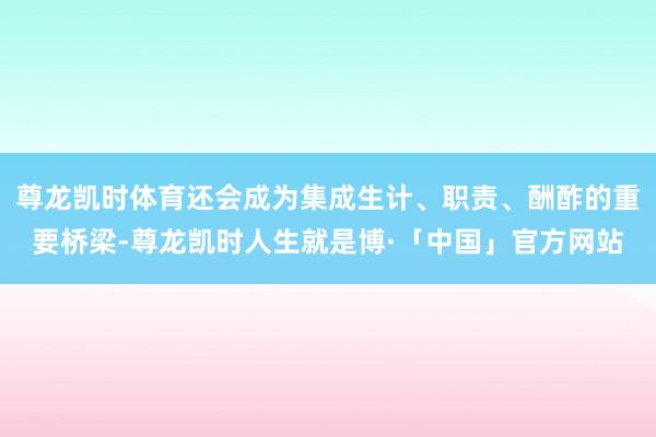 尊龙凯时体育还会成为集成生计、职责、酬酢的重要桥梁-尊龙凯时人生就是博·「中国」官方网站
