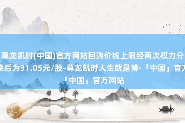 尊龙凯时(中国)官方网站回购价钱上限经两次权力分配退换后为31.05元/股-尊龙凯时人生就是博·「中国」官方网站