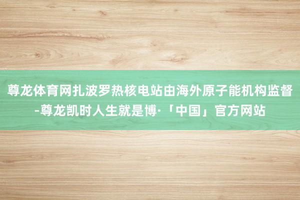 尊龙体育网扎波罗热核电站由海外原子能机构监督-尊龙凯时人生就是博·「中国」官方网站