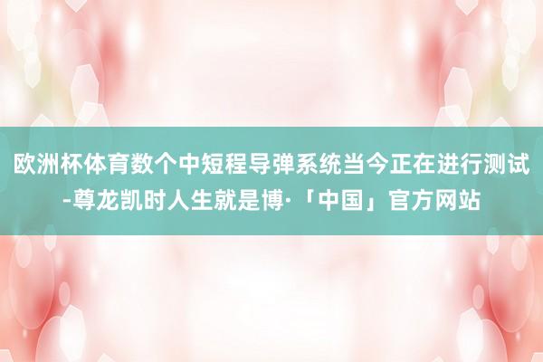 欧洲杯体育数个中短程导弹系统当今正在进行测试-尊龙凯时人生就是博·「中国」官方网站