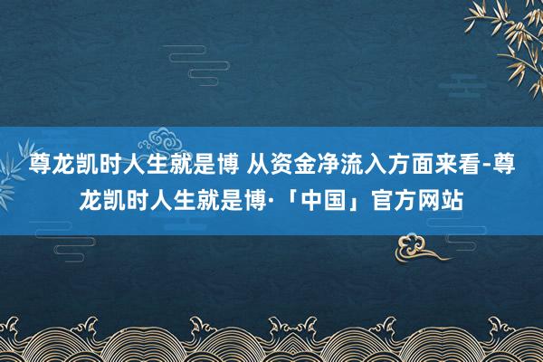 尊龙凯时人生就是博 从资金净流入方面来看-尊龙凯时人生就是博·「中国」官方网站