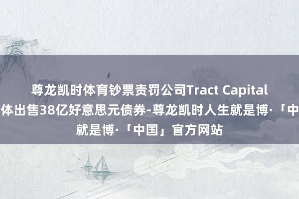 尊龙凯时体育钞票责罚公司Tract Capital投资的一个实体出售38亿好意思元债券-尊龙凯时人生就是博·「中国」官方网站