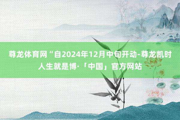 尊龙体育网“自2024年12月中旬开动-尊龙凯时人生就是博·「中国」官方网站
