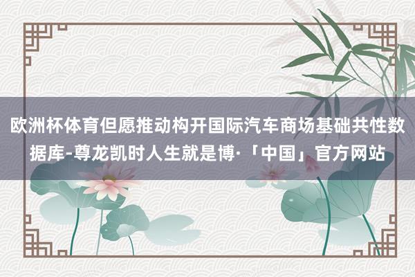 欧洲杯体育但愿推动构开国际汽车商场基础共性数据库-尊龙凯时人生就是博·「中国」官方网站