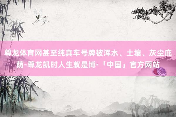 尊龙体育网甚至纯真车号牌被浑水、土壤、灰尘庇荫-尊龙凯时人生就是博·「中国」官方网站
